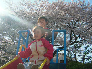 桜が咲く度にここで写真撮ってるな〜花しょってるみたいで素敵（＾-＾）