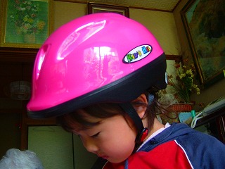 嬉しくて家の中でもメットかぶっていたのに…orz