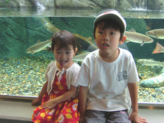 何年ぶりかわからないくらい振りなしながわ水族館☆最近あざらし館とかが新設されて人気すぽっとになってるらしいっす