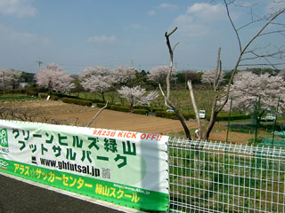 公園みたいに見えるけど実は畑、それで写真じゃ伝わりにくいけど沢山桜が咲いててめっちゃ気持ちいい！