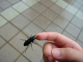 痛そうｗ
