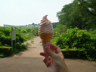 面白い味、、、リョウは拒否wチハルは食べました