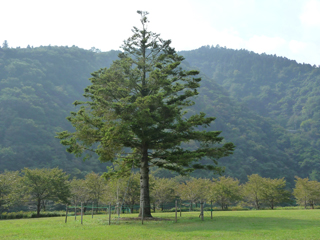 ここもすごく素敵な景色なんだけど写真じゃスケール感が伝わらないのよーっっ