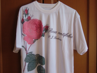 うーん着たところ見たら笑ってしまいそうだわ（＾＾；）