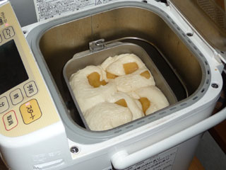 膨らんできたよ☆