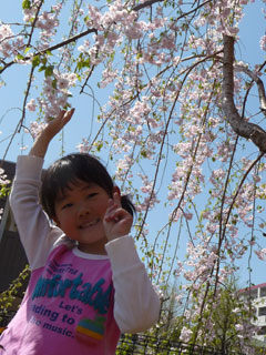 20090410.jpg