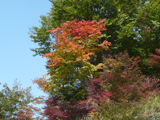 紅葉が少しづつ始まってる感じっすね