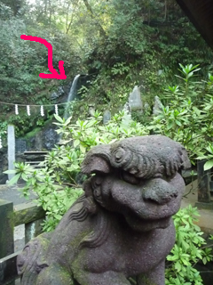 奥にちょろちょろしてるのが琵琶滝、まぁ滝修行するような場所なんでそんな大瀑布だったら皆流されて死体だらけになっちゃうわな、上品な感じの滝っすね