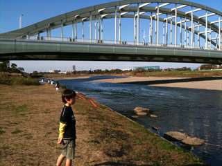 とにかく猫が多いYO！皆猫捨てちゃダメだYO！！