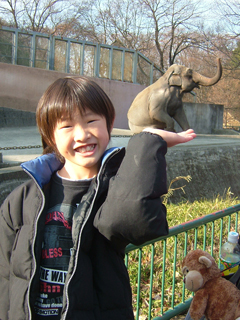 手にゾウさんが乗ってる風味に撮れているかね？無理かね（＾＾；）