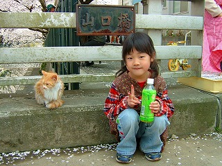 繋がれてる猫って何か違和感あるよね（？-？）