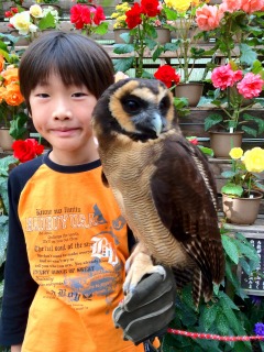 すっごく可愛いっっ大きいけど怖くないよ♪