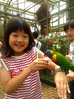 こんなちびっこインコにビクビク、腕に乗る前に嘴で確かめるのが痛いらしい、痛くないしっナウシカ見習えよっっ