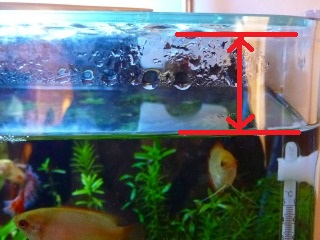 床がびっちゃびちゃになったよ・・・