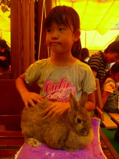お姉さんに頼めばチェンジｏｋです。モルモットも可愛くてオススメ。