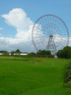 気持ちいい天気♪
