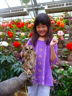 手乗り梟はショーの直後なのでショーが終わったらすぐ並べばそんなに待たずに梟さんに遊んでもらえます♪