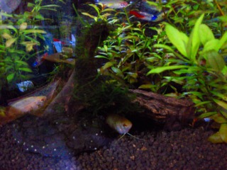 可愛いっっ♪♪♪