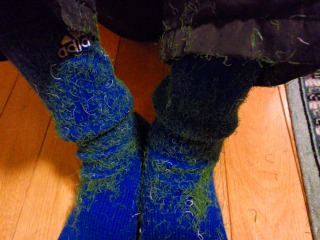 これがまた・・・酷いんです。