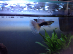 元気で良かった