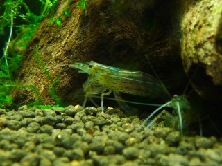 いつも仲良し♪♪