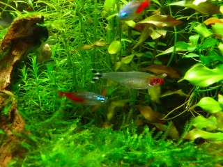 事故もあったけど皆落ちずに元気いっぱい♪