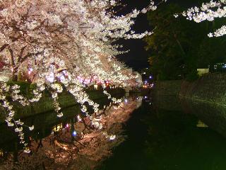 小田原城のお堀