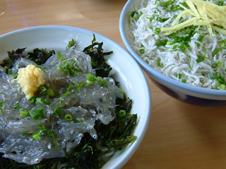 しらす丼